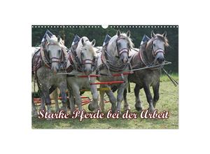 9783435694518 - Starke Pferde bei der Arbeit (Wandkalender 2025 DIN A3 quer) CALVENDO Monatskalender