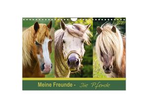 9783435695034 - Meine Freunde - die Pferde (Wandkalender 2025 DIN A4 quer) CALVENDO Monatskalender