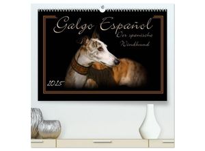 9783435695096 - Galgo Español 2025- Der spanische Windhund (hochwertiger Premium Wandkalender 2025 DIN A2 quer) Kunstdruck in Hochglanz