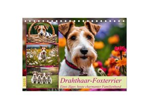 9783435695195 - Drahthaar-Foxterrier (Tischkalender 2025 DIN A5 quer) CALVENDO Monatskalender