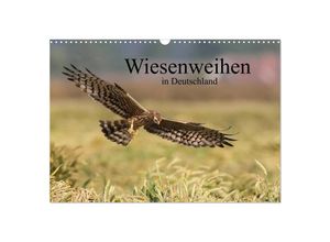 9783435695256 - Wiesenweihen in Deutschland (Wandkalender 2025 DIN A3 quer) CALVENDO Monatskalender