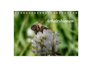 9783435696017 - Arbeitsbienen (Tischkalender 2025 DIN A5 quer) CALVENDO Monatskalender