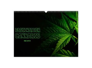 9783435696123 - Faszination Cannabis (Wandkalender 2025 DIN A3 quer) CALVENDO Monatskalender