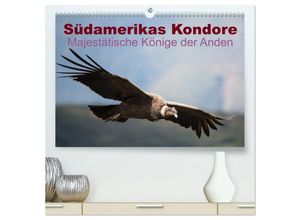 9783435696222 - Südamerikas Kondore - Majestätische Könige der Anden (hochwertiger Premium Wandkalender 2025 DIN A2 quer) Kunstdruck in Hochglanz