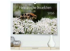 9783435696376 - Heimische Insekten 2025 (hochwertiger Premium Wandkalender 2025 DIN A2 quer) Kunstdruck in Hochglanz