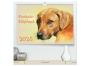 9783435696383 - Rhodesian Ridgeback 2025 (hochwertiger Premium Wandkalender 2025 DIN A2 quer) Kunstdruck in Hochglanz