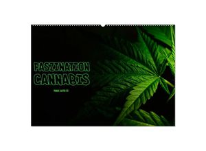 9783435696666 - Faszination Cannabis (Wandkalender 2025 DIN A2 quer) CALVENDO Monatskalender