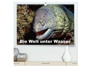 9783435696840 - Die Welt unter Wasser (hochwertiger Premium Wandkalender 2025 DIN A2 quer) Kunstdruck in Hochglanz