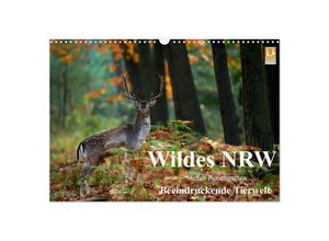 9783435696895 - Wildes NRW - Beeindruckende Tierwelt (Wandkalender 2025 DIN A3 quer) CALVENDO Monatskalender