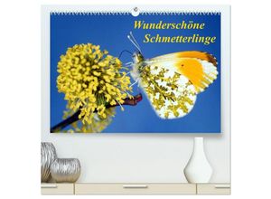 9783435696918 - Wunderschöne Schmetterlinge (hochwertiger Premium Wandkalender 2025 DIN A2 quer) Kunstdruck in Hochglanz