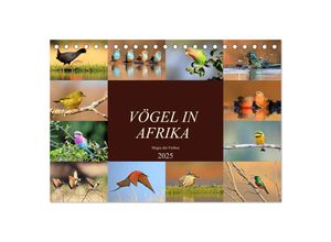 9783435696949 - Vögel in Afrika - Magie der Farben (Tischkalender 2025 DIN A5 quer) CALVENDO Monatskalender