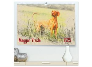 9783435696956 - Magyar Vizsla 2025 (hochwertiger Premium Wandkalender 2025 DIN A2 quer) Kunstdruck in Hochglanz