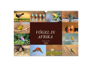 9783435697359 - Vögel in Afrika - Magie der Farben (Wandkalender 2025 DIN A3 quer) CALVENDO Monatskalender