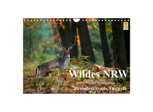 9783435697588 - Wildes NRW - Beeindruckende Tierwelt (Wandkalender 2025 DIN A4 quer) CALVENDO Monatskalender