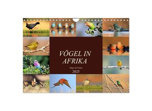 9783435697809 - Vögel in Afrika - Magie der Farben (Wandkalender 2025 DIN A4 quer) CALVENDO Monatskalender