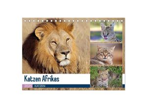 9783435697847 - Katzen Afrikas (Tischkalender 2025 DIN A5 quer) CALVENDO Monatskalender