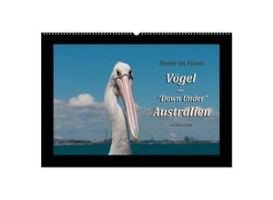 9783435697977 - Vögel von Down Under Australien (Wandkalender 2025 DIN A2 quer) CALVENDO Monatskalender