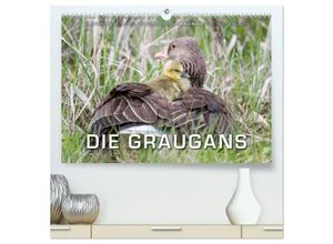 9783435698363 - Emotionale Momente Die Graugans (hochwertiger Premium Wandkalender 2025 DIN A2 quer) Kunstdruck in Hochglanz