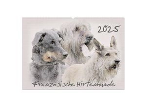 9783435698448 - Französische Hirtenhunde 2025 (Wandkalender 2025 DIN A2 quer) CALVENDO Monatskalender