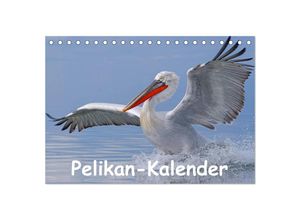 9783435698523 - Pelikan-Kalender (Tischkalender 2025 DIN A5 quer) CALVENDO Monatskalender