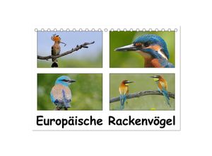 9783435698707 - Europäische Rackenvögel (Tischkalender 2025 DIN A5 quer) CALVENDO Monatskalender