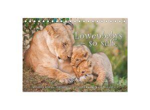 9783435698936 - Emotionale Momente Löwenbabys - so süß (Tischkalender 2025 DIN A5 quer) CALVENDO Monatskalender