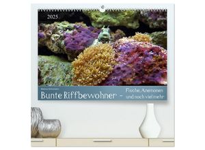 9783435699063 - Bunte Riffbewohner - Fische Anemonen und noch viel mehr (hochwertiger Premium Wandkalender 2025 DIN A2 quer) Kunstdruck in Hochglanz