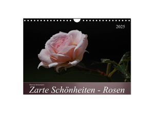 9783435699292 - Zarte Schönheiten - Rosen (Wandkalender 2025 DIN A4 quer) CALVENDO Monatskalender