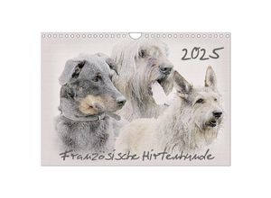 9783435699315 - Französische Hirtenhunde 2025 (Wandkalender 2025 DIN A4 quer) CALVENDO Monatskalender