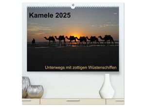 9783435699490 - Kamele 2025 - Unterwegs mit zottigen Wüstenschiffen (hochwertiger Premium Wandkalender 2025 DIN A2 quer) Kunstdruck in Hochglanz