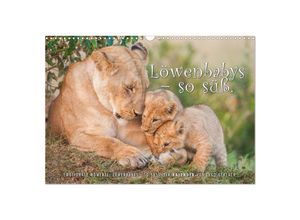 9783435699841 - Emotionale Momente Löwenbabys - so süß (Wandkalender 2025 DIN A3 quer) CALVENDO Monatskalender