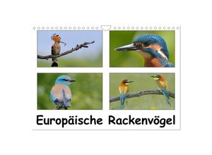 9783435699865 - Europäische Rackenvögel (Wandkalender 2025 DIN A4 quer) CALVENDO Monatskalender