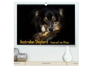 9783435700097 - Australian Shepherd - Traum auf vier Pfoten (hochwertiger Premium Wandkalender 2025 DIN A2 quer) Kunstdruck in Hochglanz