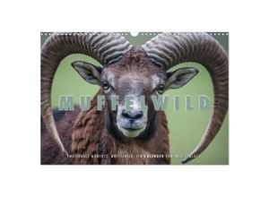 9783435700110 - Emotionale Momente Muffelwild (Wandkalender 2025 DIN A3 quer) CALVENDO Monatskalender