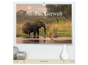 9783435700165 - Afrikas Tierwelt Christian Heeb (hochwertiger Premium Wandkalender 2025 DIN A2 quer) Kunstdruck in Hochglanz