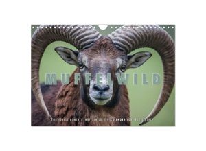 9783435700493 - Emotionale Momente Muffelwild (Wandkalender 2025 DIN A4 quer) CALVENDO Monatskalender