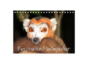 9783435700547 - Faszination Madagaskar (Tischkalender 2025 DIN A5 quer) CALVENDO Monatskalender