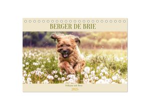 9783435700707 - Berger de Brie - Fellnase mit Herz (Tischkalender 2025 DIN A5 quer) CALVENDO Monatskalender