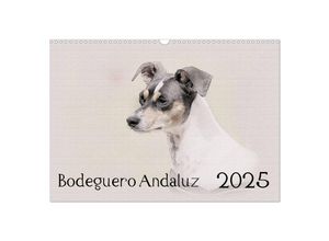 9783435700936 - Bodeguero Andaluz 2025 (Wandkalender 2025 DIN A3 quer) CALVENDO Monatskalender