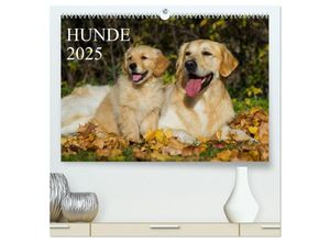 9783435701155 - Hunde - Treue Freunde für´s Leben (hochwertiger Premium Wandkalender 2025 DIN A2 quer) Kunstdruck in Hochglanz