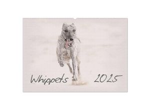 9783435701780 - Whippet 2025 (Wandkalender 2025 DIN A2 quer) CALVENDO Monatskalender