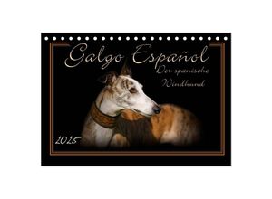 9783435701889 - Galgo Español 2025- Der spanische Windhund (Tischkalender 2025 DIN A5 quer) CALVENDO Monatskalender