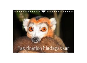 9783435701919 - Faszination Madagaskar (Wandkalender 2025 DIN A4 quer) CALVENDO Monatskalender