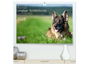 9783435702121 - Zauberhafte Langhaar Schäferhunde (hochwertiger Premium Wandkalender 2025 DIN A2 quer) Kunstdruck in Hochglanz