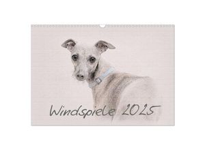 9783435702169 - Windspiele 2025 (Wandkalender 2025 DIN A3 quer) CALVENDO Monatskalender