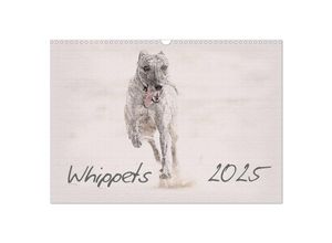 9783435702275 - Whippet 2025 (Wandkalender 2025 DIN A3 quer) CALVENDO Monatskalender