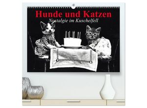 9783435702602 - Hunde und Katzen - Nostalgie im Kuschelfell (hochwertiger Premium Wandkalender 2025 DIN A2 quer) Kunstdruck in Hochglanz