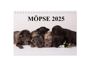 9783435702619 - Möpse 2025 (Tischkalender 2025 DIN A5 quer) CALVENDO Monatskalender