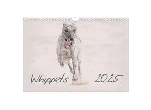 9783435702626 - Whippet 2025 (Wandkalender 2025 DIN A4 quer) CALVENDO Monatskalender