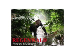 9783435702879 - Regenwald - Tiere im Dschungel (Wandkalender 2025 DIN A3 quer) CALVENDO Monatskalender